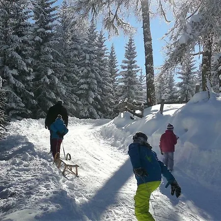 Dolomitenpanorama Апартаменты *