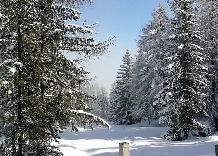 Apartament Dolomitenpanorama *