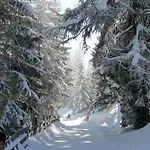 Apartament Dolomitenpanorama *